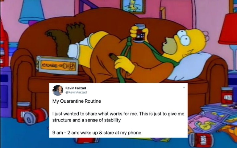 Homer Simpson quarantine