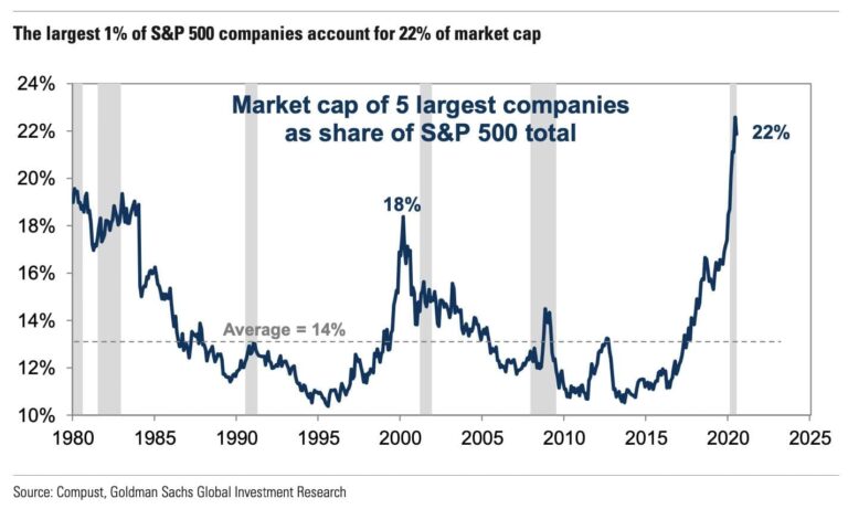 Largest 1 Percent of SP500 Account for 22 Percent Market Cap