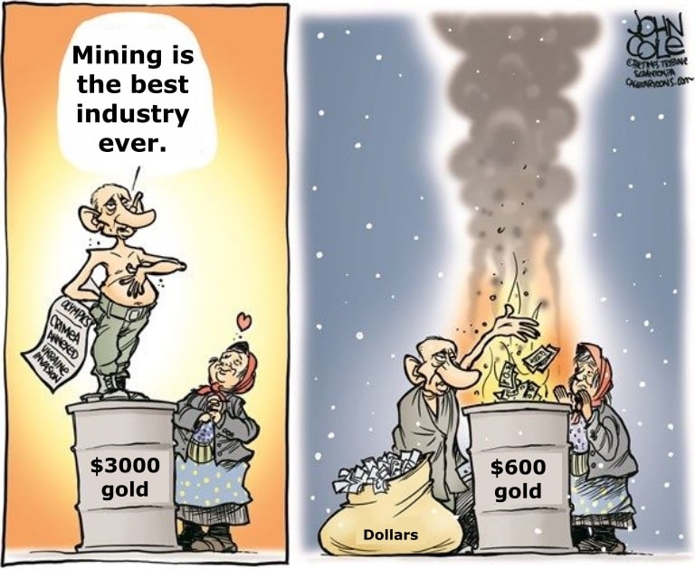 Gold Price Profitability Cartoon