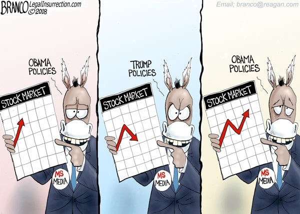 Stock Market Election Polls Comic