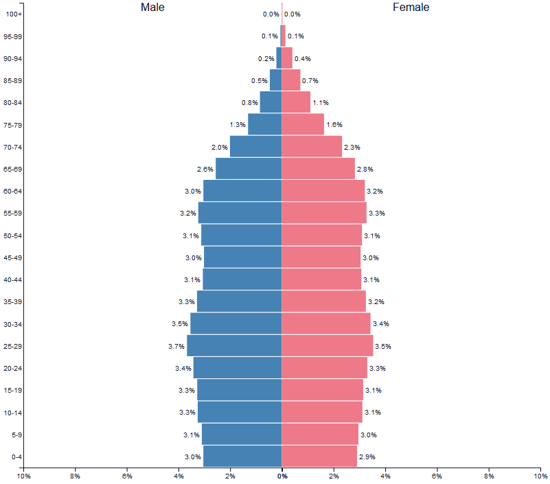 US Population Pyramid 2020